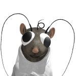@Peesion