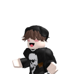 @Noahbinok1234