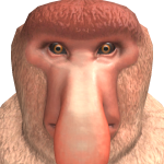 @dblotsky