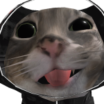 @camerundit