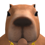 @diapro0000