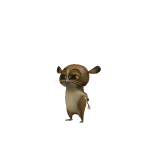 @stavswrls