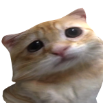 @jaiwh_lsoi