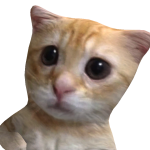 @Gamer_Allison101
