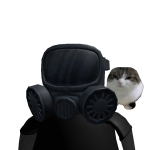 @roblox666pk