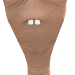 @MrsQueen_Yeetis