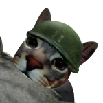 @ToxicccGus