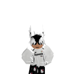 @huskylynet