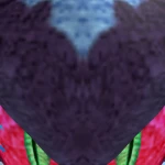 RaibowDesh