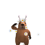 @robloxygxfj