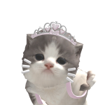 @K41TQQ