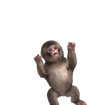 @rand_isthebest