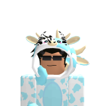 @robindesbois06