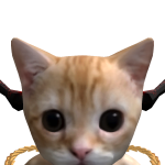 @tfey6