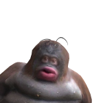@fizzywizzy1907