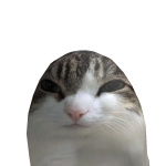 @Gunt4nmms