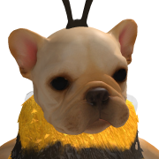 Kazuki