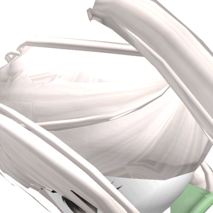 Roblox profile picture for @Leo_nut