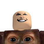 @Bloomot
