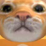 @rollercoaster2950
