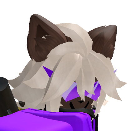 APartyRBLX