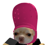 @Chihuahua_Buns