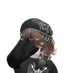 @robloxdestroyeeer