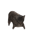 @Mittycatmemes