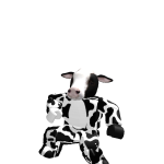 @mooymanpriest