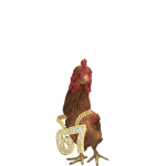 @koala_Gamer124