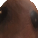 @Agguineapig