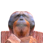 @monkeymuffin7