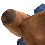 @victor_gamerjt