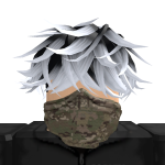 @Robloxian763007608