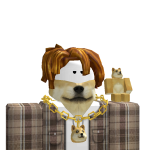 @dogeplayer1010