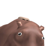 @Islasrblx
