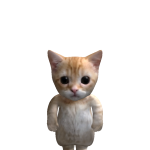 @chill_243