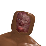 @dopdder9