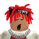 @Savageroblox_gamer