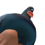 @JRPMAF2