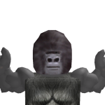 @Turtle_byron