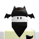 @robloxcrazy111