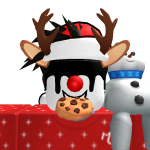@progameur006