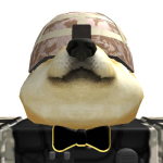 @Scp_11008