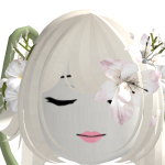 @Windzwolf1