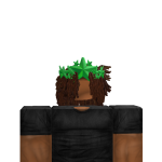 @so1obj