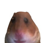 @Auqcxa