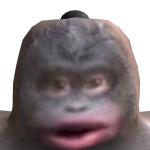 @UnusualPost1
