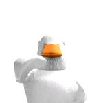 @lcarp01