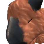 @roblox_user_942428149